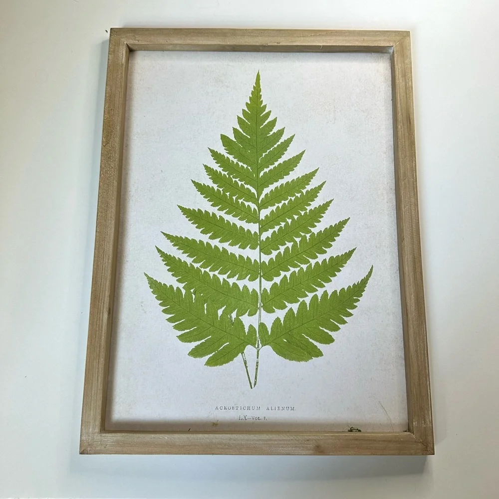 New Framed Green Fern Botanical Minimalistic Modern Herbal Wall Art